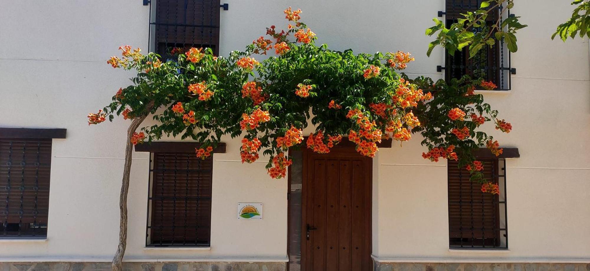 El Molino De Alatoz Villa Exterior photo